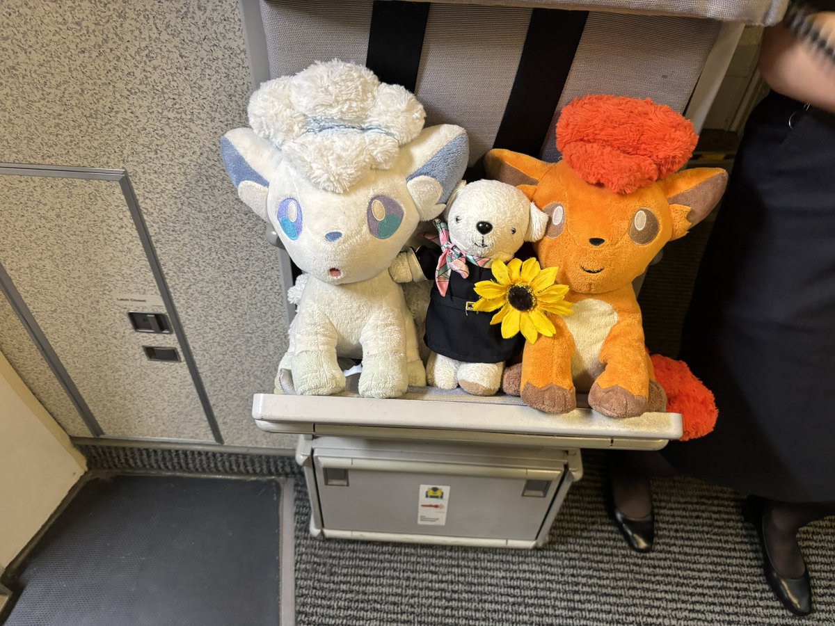 fu___ka___12's tweet photo. 今回は初めての遠征で
アリーナ席で前から4列目しかも真ん中　
神すぎる席でした

とても有意義な夏休みになりました

またあとでチェキツイしようかな〜！

あいすちゃん大丈夫かな😢

#あいすを愛す #あいすが食べたい 
#みにちゃんの成長日記
#みにたんみにきて https://t.co/RlnPBSn6WX