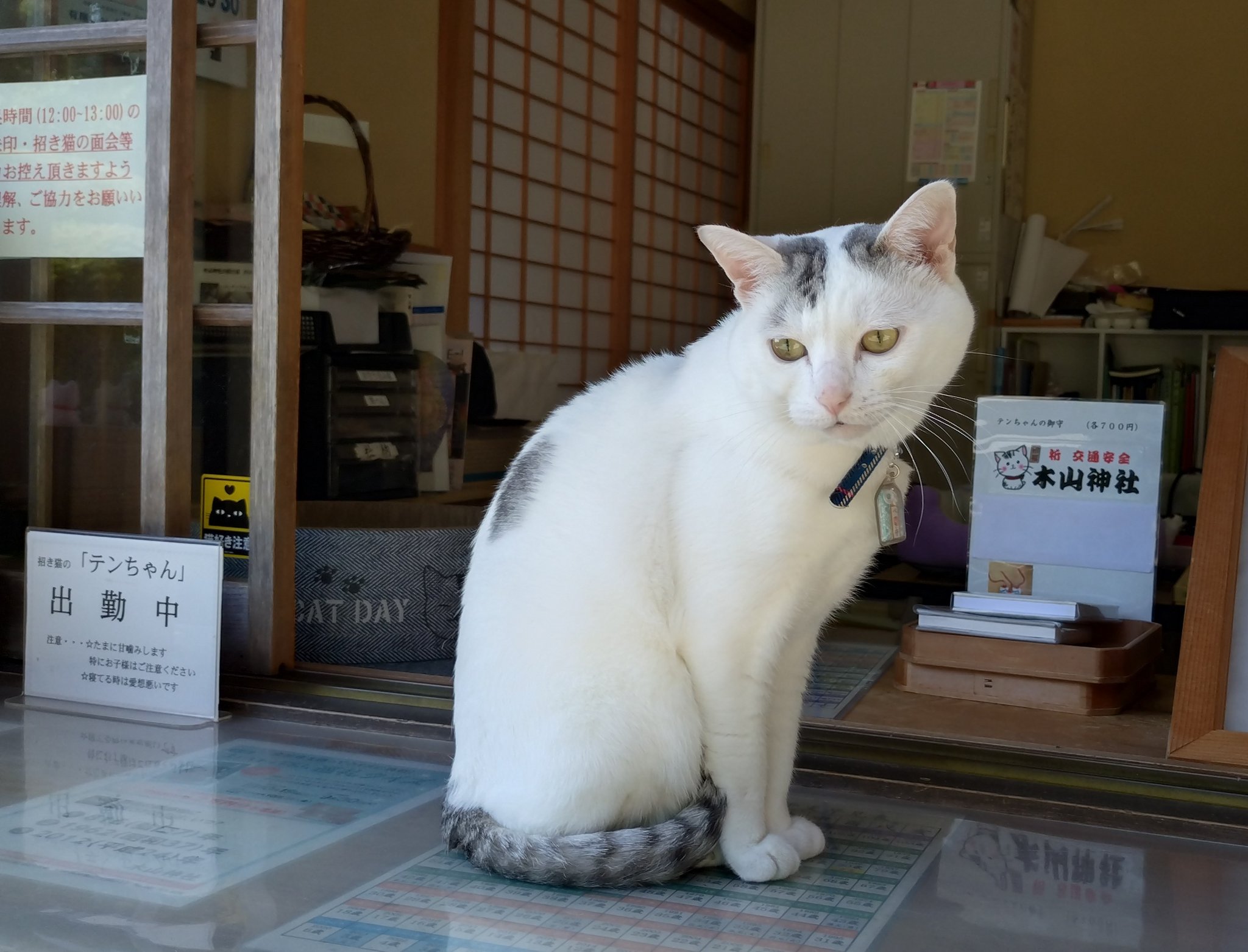 木山神社の招き猫 on X: 