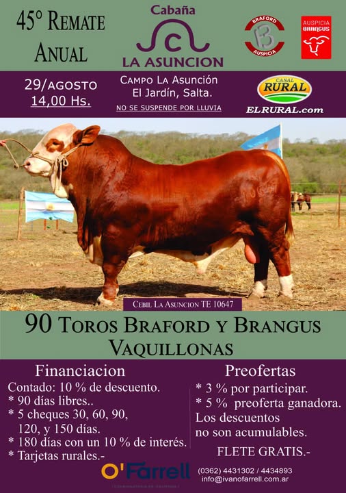 📢 Este viernes 29 de agosto, 14 hs en El Jardín (Salta):
 👉45° Remate Anual de Cabaña La Asunción
 🐂90 toros Braford y Brangus. Vaquillonas Brangus
 🏆Reproductores Braford de La Asunción premiados en la Expo Rural Salta
 🚛Flete gratis + descuentos online
 📺Por <a href="/canalrural/">Canal Rural</a> y