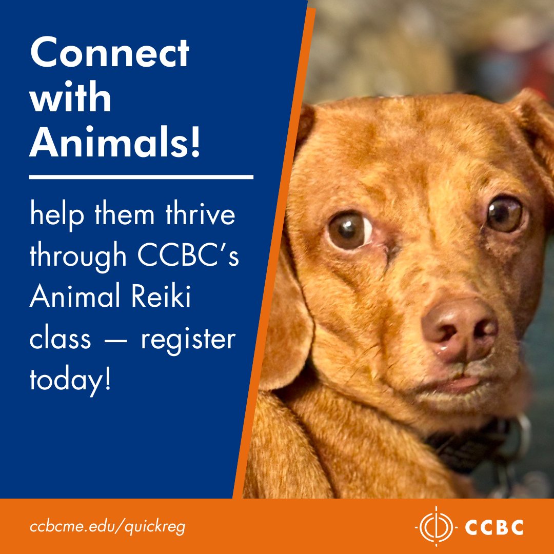 Looking to connect with animals and help them thrive? In CCBC’s low-cost, one-day Animal Reiki class, you’ll learn Japanese Reiki techniques for animal well-being, behavior &amp; health, and earn your first Shoden Reiki Level I certification. Register now at ccbcmd.edu/quickreg.