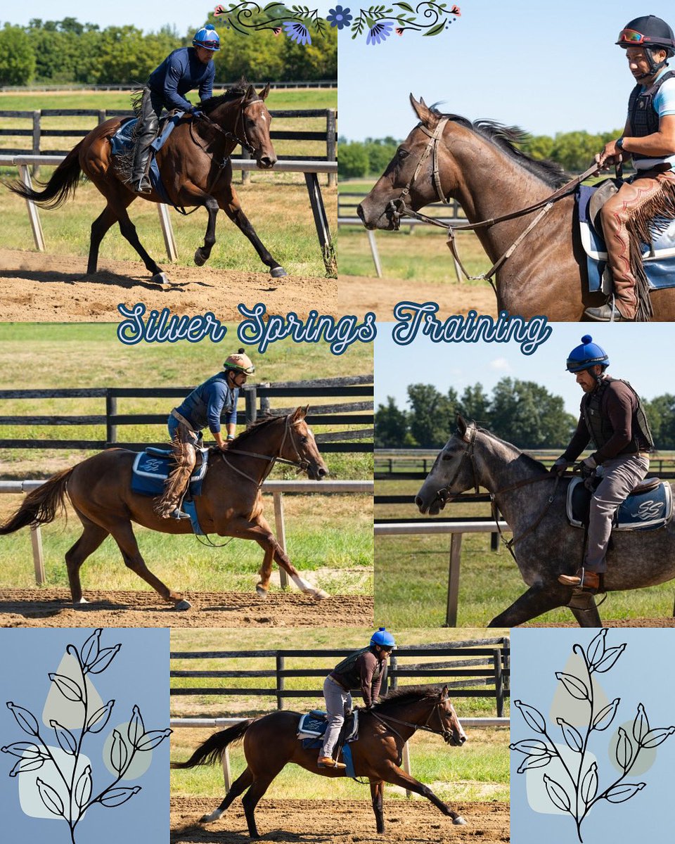 Great weather in Lexington, KY and happy horses on the track! 💪🏼 #SSTraining #LexingtonKY #FallVibes 
Photos by <a href="/ChampsTrack/">Champs of the Track</a> 🌸