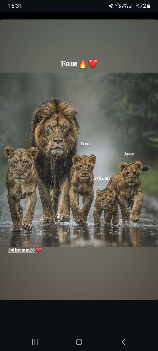 Baba daha napsın gelmek için bonservisini de kendi mi ödesin ?
#HakanCimboma