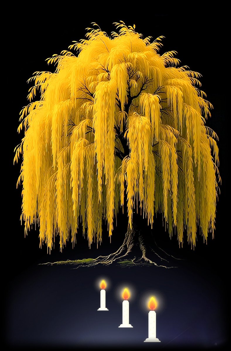 🙂 Vous connaissez la symbolique de cet arbre :  le saule pleureur ? Il incarne l'immortalité et la renaissance. C'est un symbole spirituel très fort ! N'oubliez pas les 3 bougies qui brillent dans le noir...
c. on Timechain