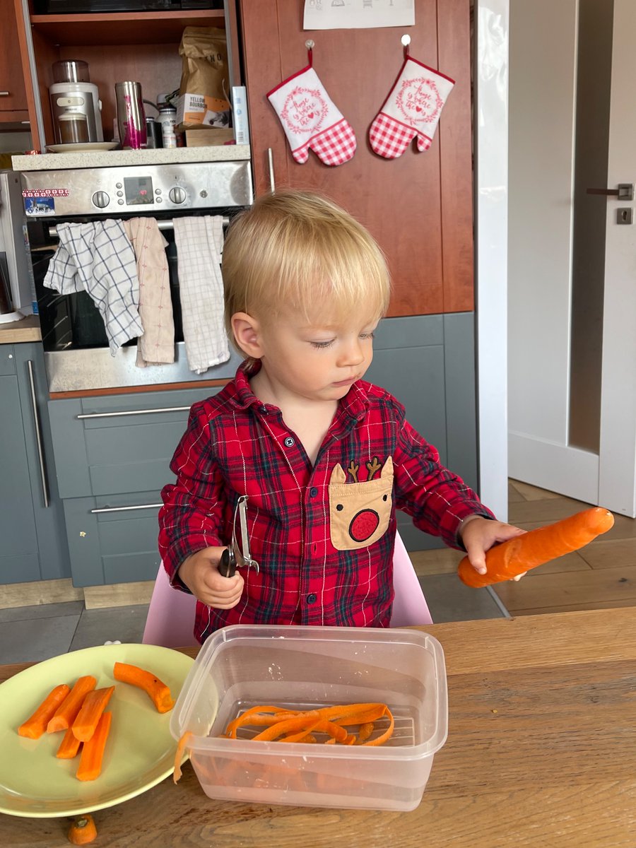 the kind of Montessori I want