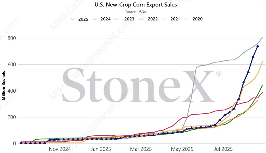 With 82.3 mbu of weekly new crop ('25/'26) #corn sales, cumulative totals remain roughly double last year's pace and are now only 2.7% (~20 mbu) behind 2021's record pace. 

If we see 66 mbu of '25/'26 #corn sales on next week's report, we will break said record. #oatt
