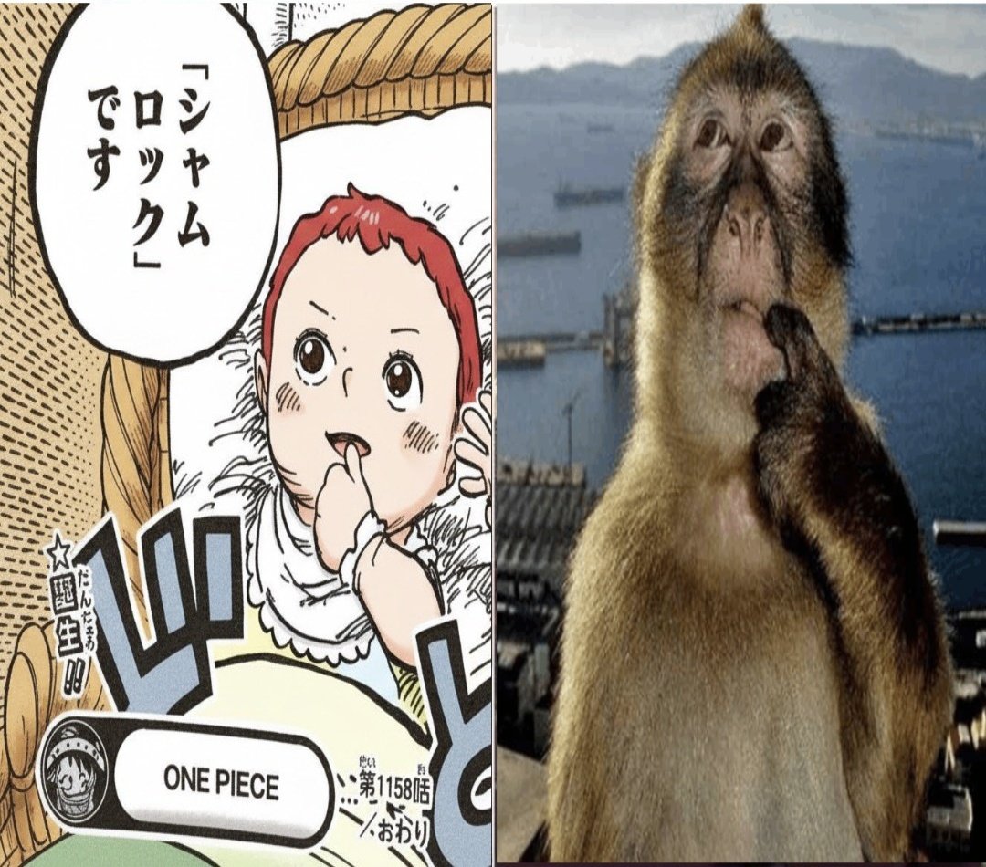 sigmarshanks's tweet image. #ONEPIECE1158
Shamrock really said