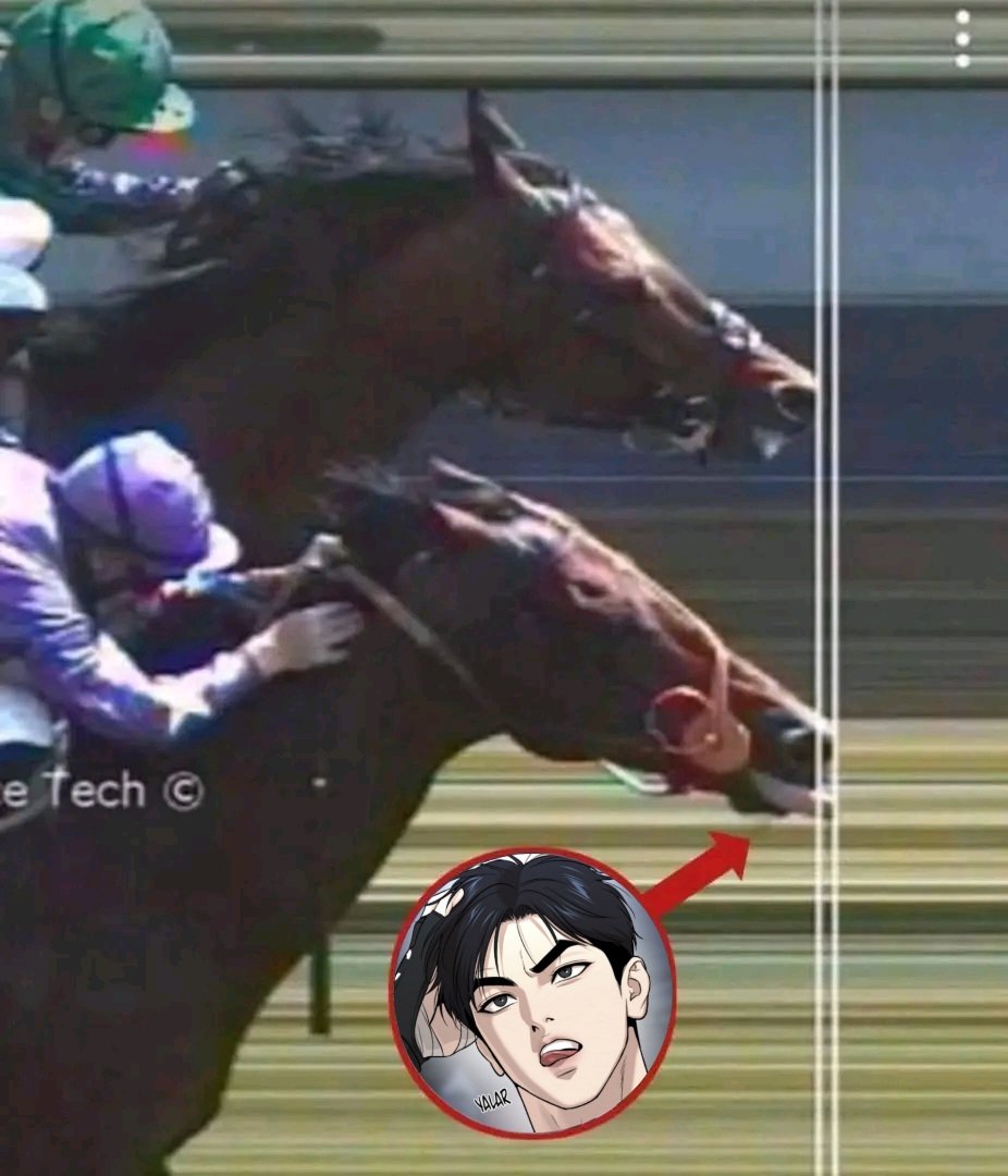 yosun (@yosunwoo) on Twitter photo 