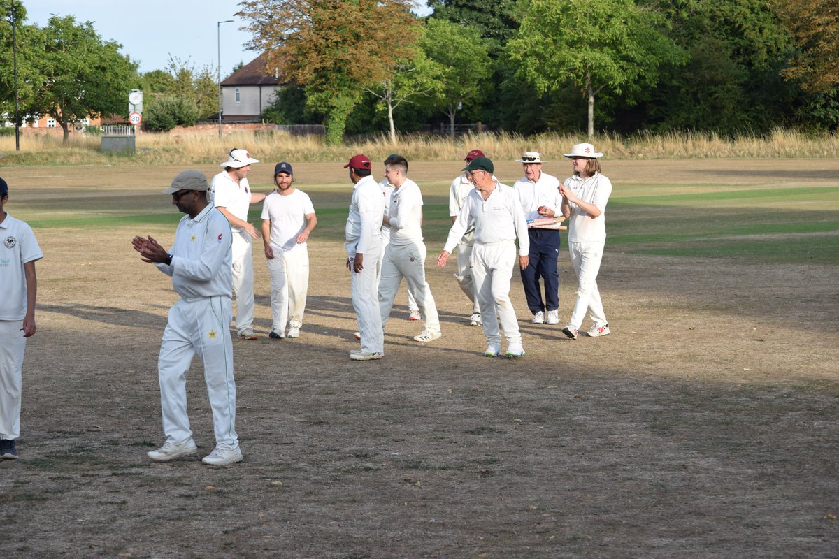 The Bushmen tweet media