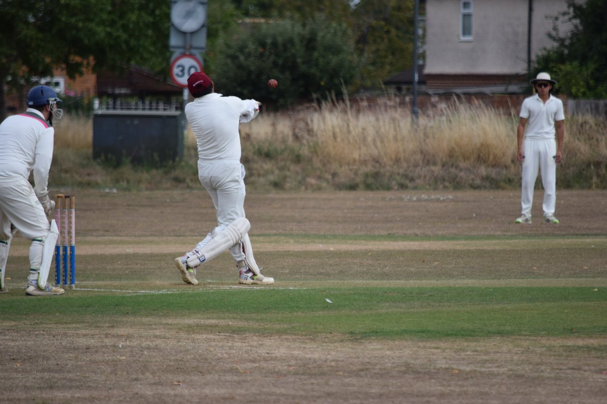 The Bushmen tweet media