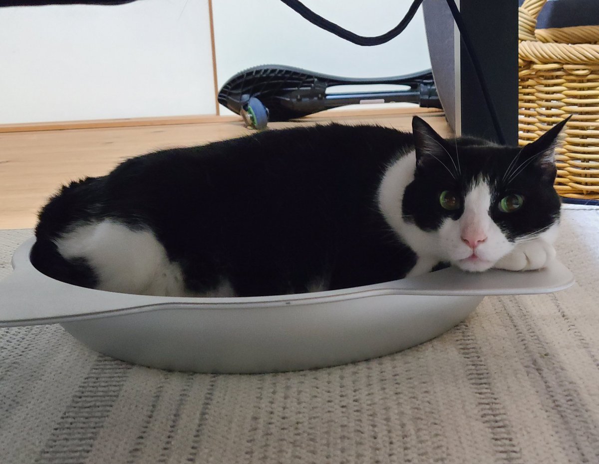 おやすみなさい💤
明日もお仕事頑張りましょう
byぽんた😺