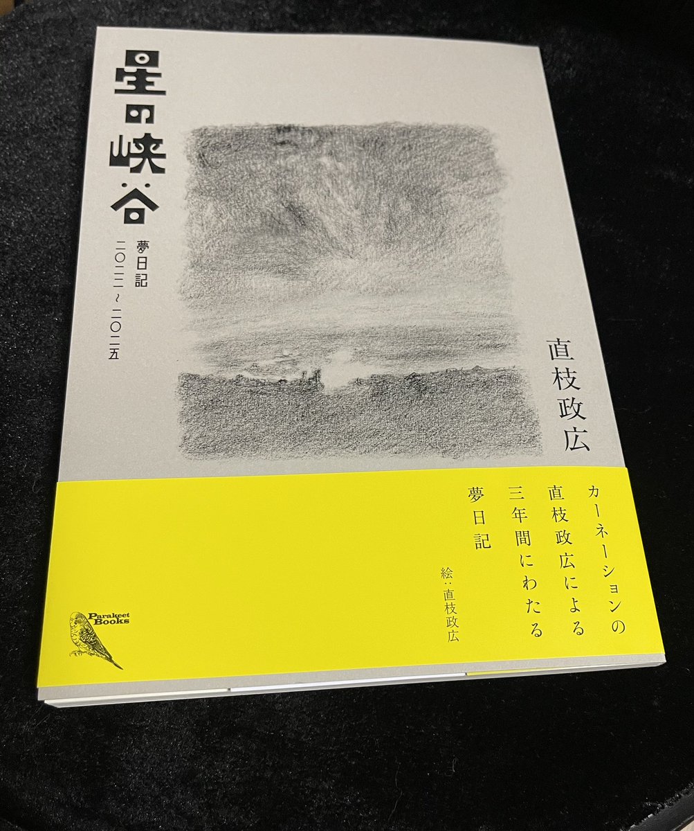 直枝さんの「星の峡谷」。夢日記なので、時間や距離を自由に動き回ってあっちに行ったり、こっちで転んだり、そりゃもうサイケデリックトリップ。長編映画をほんの3〜4行で語っているような、密度の濃さ。そして何よりも絵がめちゃくちゃいい。夢のうねりを線に語らせてるような。