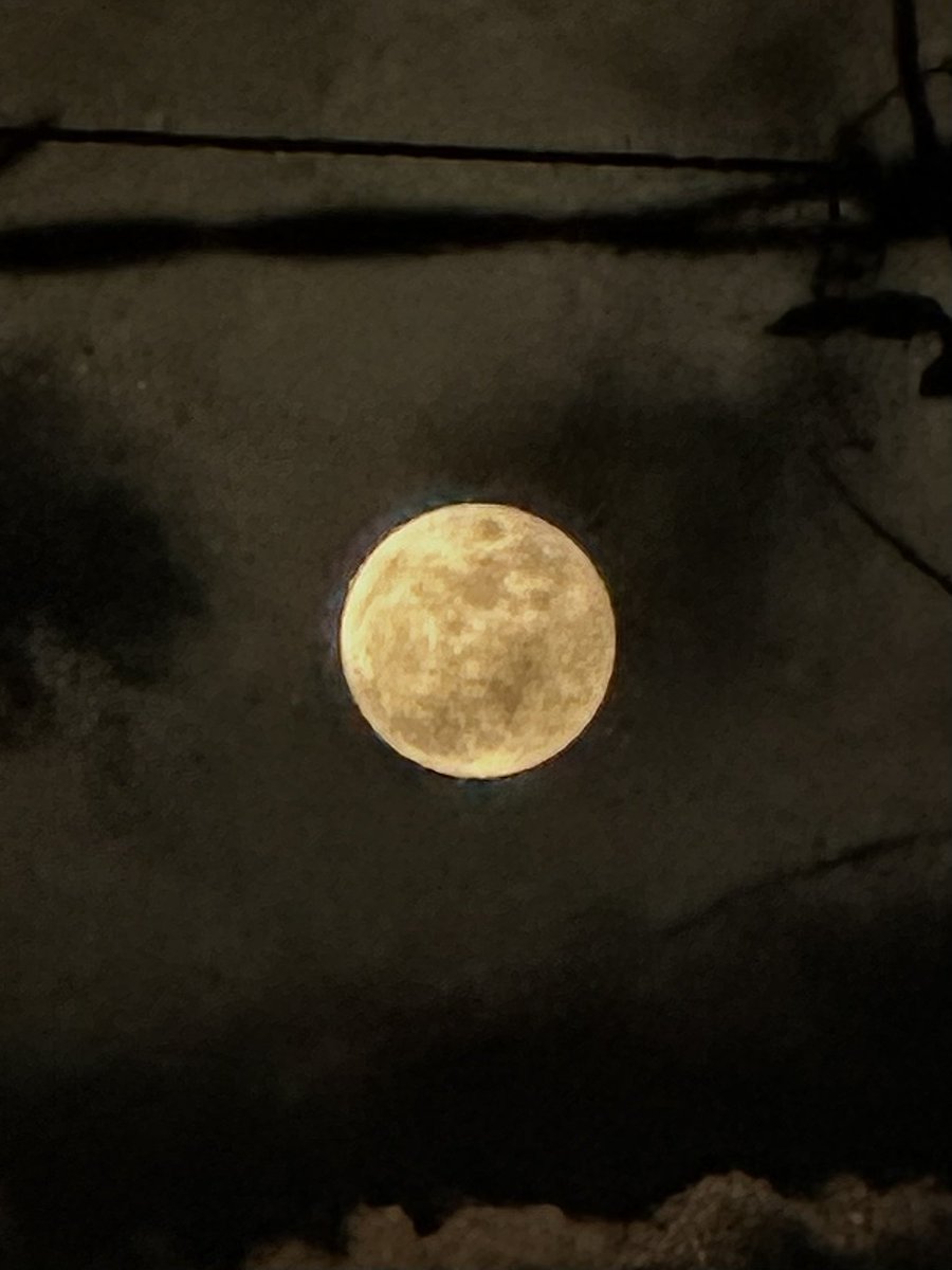 kimtaenoo's tweet photo. @rthysh sunset. sunrise. moon. peaceful vibe~ https://t.co/jrYGyl3ZjQ
