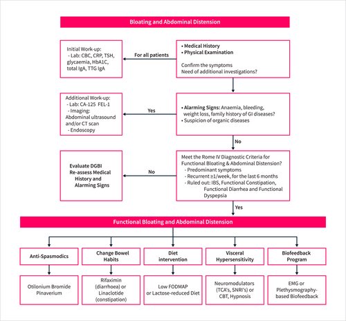 john_damianosMD's tweet photo. 🥇Recommendations on functional bloating and distension 

#MedTwitter #GITwitter #motility 

https://t.co/65kWV5MLhz https://t.co/lDTWQWrTYY