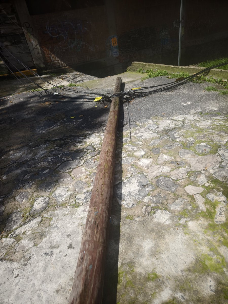 Fernando Loaiza tweet media