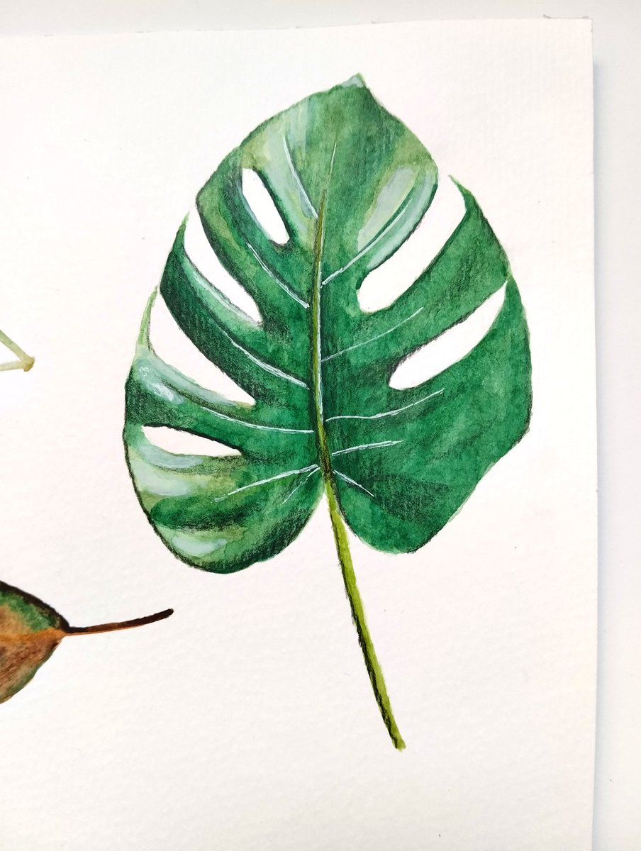 🖌️🎨 Una práctica más de acuarela.