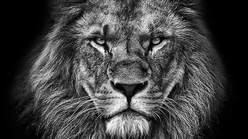 classxbt's tweet image. I was walking home yesterday and a crackhead offered me a handy for $5 in an alley.

I said no cause I&apos;d never get a j*b 

Few will understand