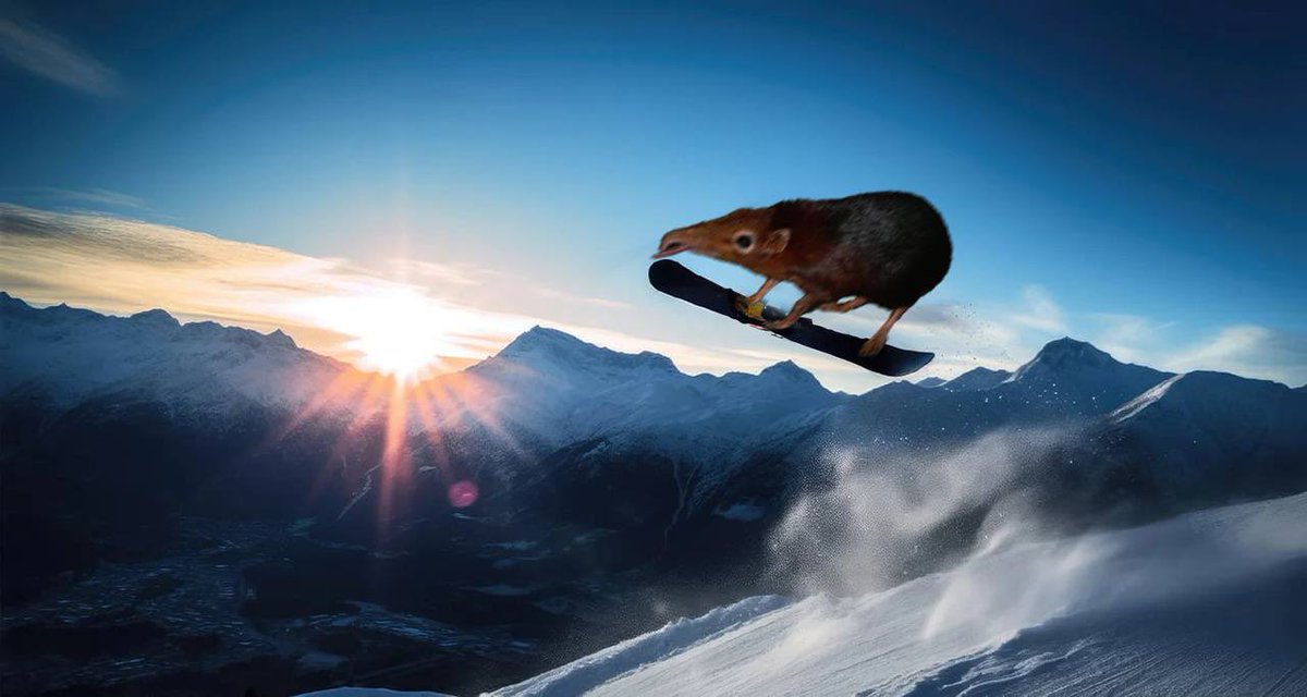 <a href="/0xcoinn/">ً</a> Time to go H I G H E R 

$Shlorp