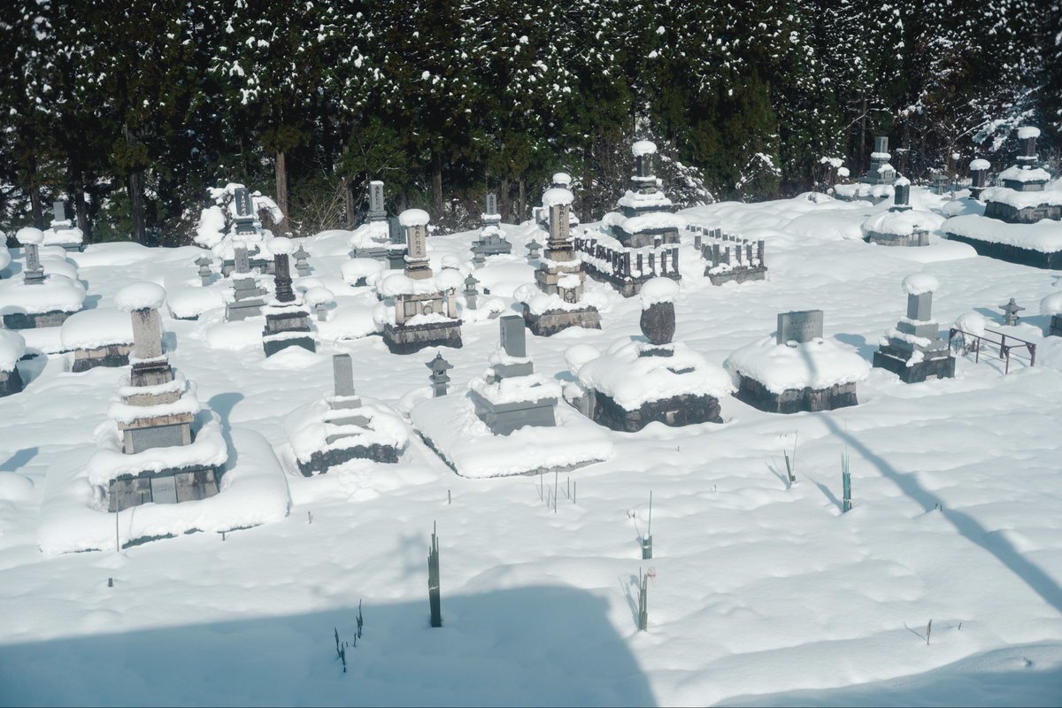 UE 𝕏 (@uephoto_) on Twitter photo 