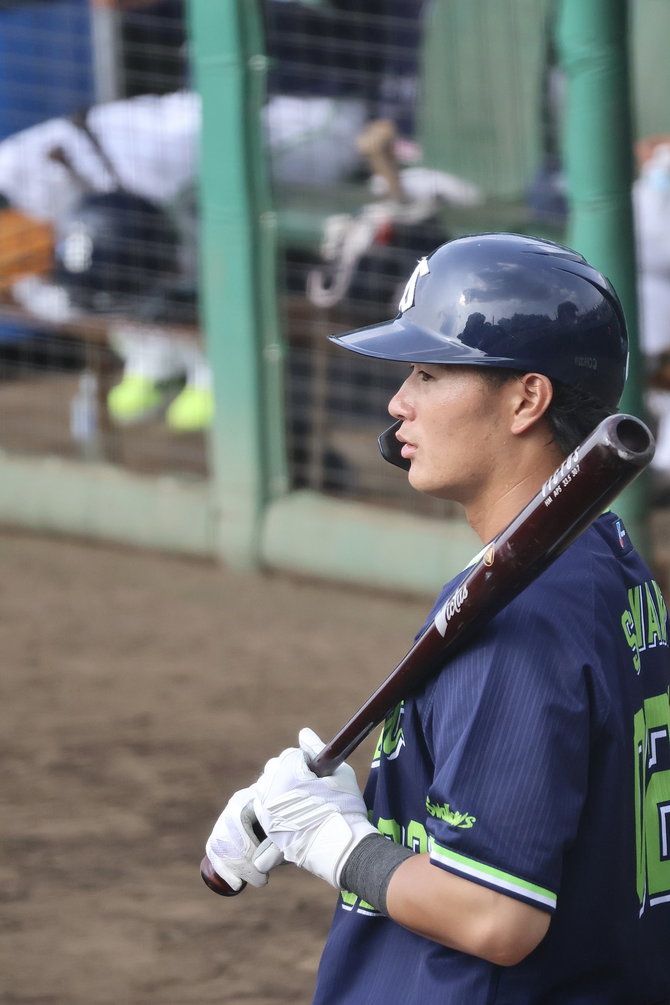 東京ヤクルトスワローズ 澤野聖怒選手実使用グローブ 東京ヤクルトスワローズ 澤野聖怒選手実使用グローブ - メルカリ