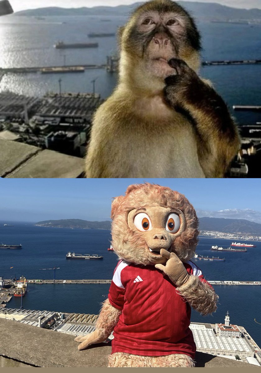 GibraltarFA's tweet photo. We think we found the spot…. 

#ThinkingMonkey https://t.co/ii6nYOEpZv
