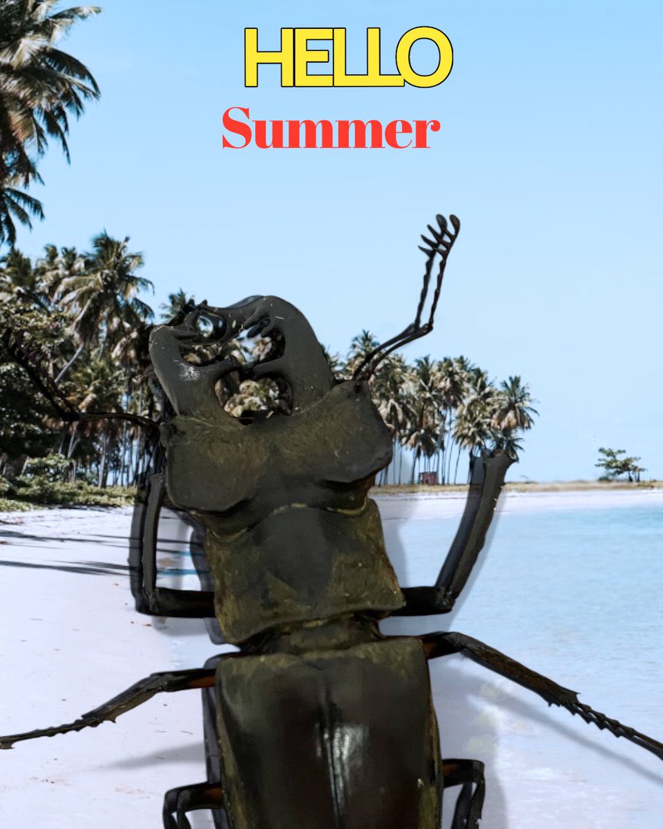 ミヤマクワガタ