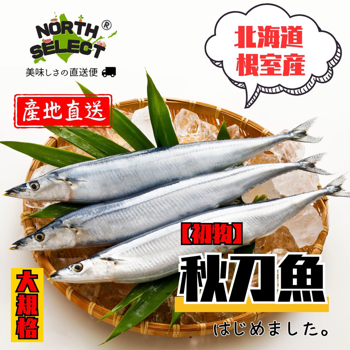 新品　さんま　ウキウキメッセージ　赤　青　2台 魚屋TA20008🌽 on X: 