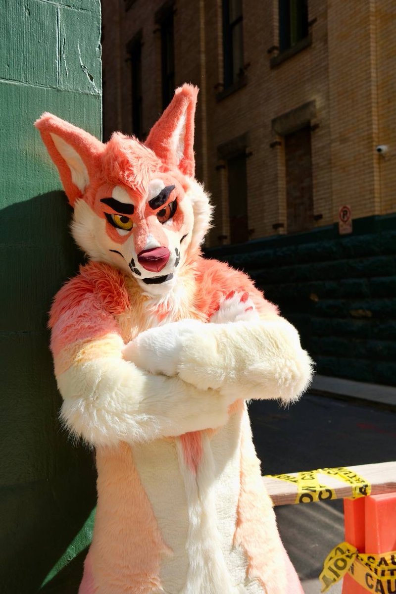 how you’ll find this dog at megaplex. pls bark at me :3 

do: compliment my mullet
don’t: dive in the shallow end of the pool