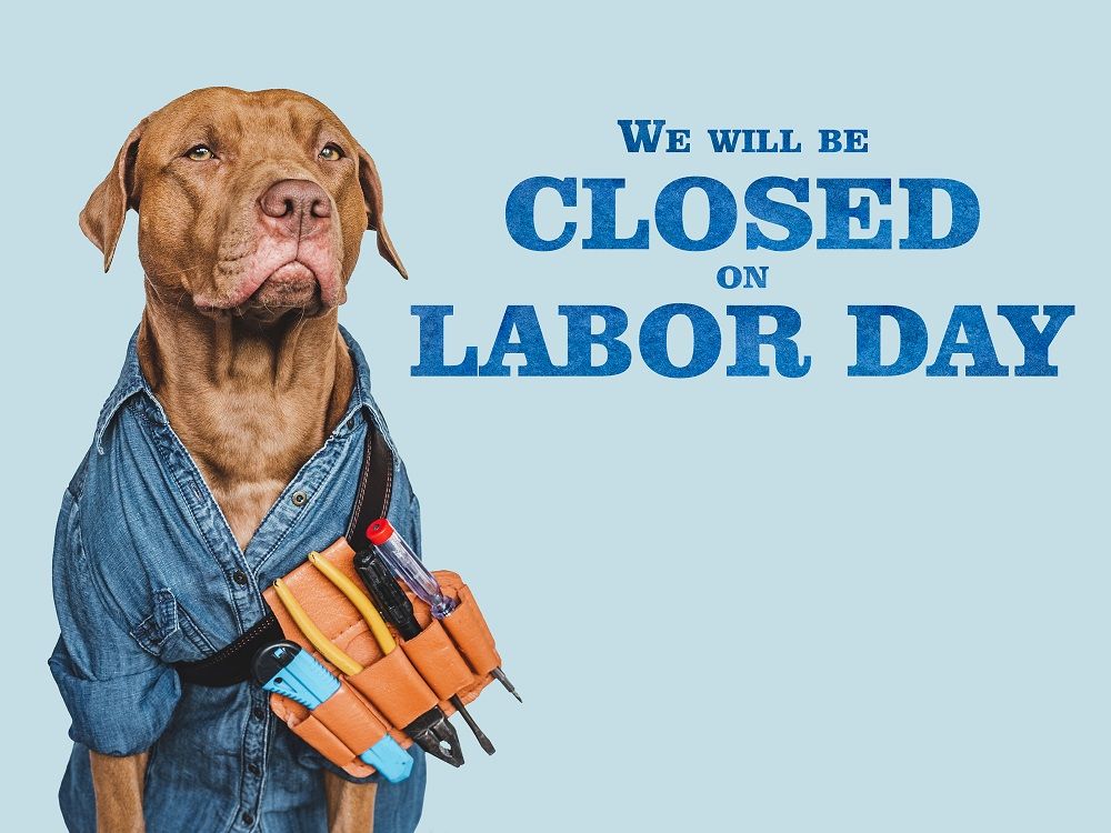 DSDR: A Population Health Data Archive (@dsdrdata) on Twitter photo DSDR User Support will be closed September 1st in observance of Labor Day. Please see our Resources page: myumi.ch/61xQx for assistance during this time. Email DSDR-data@umich.edu for assistance upon our return. DSDR User Support will be closed September 1st in observance of Labor Day. Please see our Resources page: myumi.ch/61xQx for assistance during this time. Email DSDR-data@umich.edu for assistance upon our return.