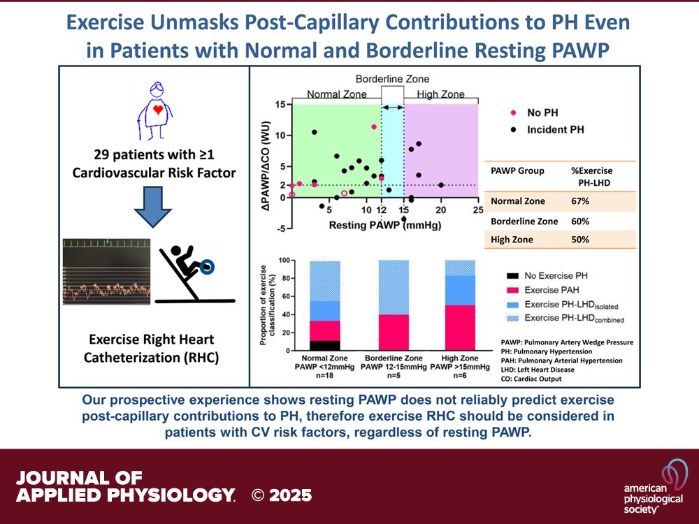 Journal of Applied Physiology (@japplphysiol) on Twitter photo Research Article by E Karvasarski et al. (<a href="/SinaiHealth/">Sinai Health</a> <a href="/TheWrightHeart/">Stephen Wright, PhD</a> <a href="/MakLab_/">Mak Lab</a>) Pre- and postcapillary #exercise contributions to #pulmonary #hypertension in adults > 45 yr
ow.ly/CMN250WEwYl Research Article by E Karvasarski et al. (<a href="/SinaiHealth/">Sinai Health</a> <a href="/TheWrightHeart/">Stephen Wright, PhD</a> <a href="/MakLab_/">Mak Lab</a>) Pre- and postcapillary #exercise contributions to #pulmonary #hypertension in adults > 45 yr
ow.ly/CMN250WEwYl