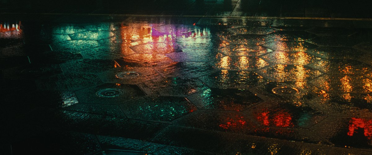 imPatrickT's tweet image. some photos i took that i'm proud of.