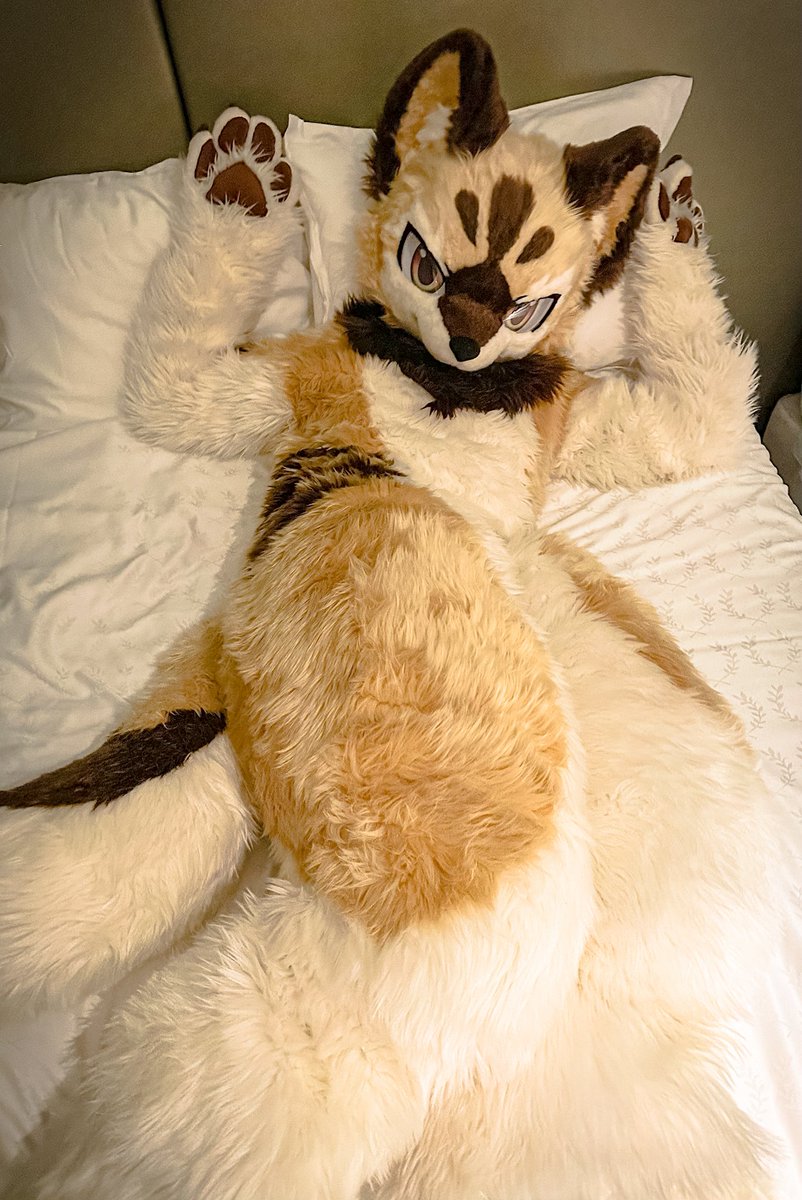 えっちな事はだめー！(°▽°)
#FursuitFriday