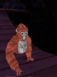 My Pbbv re-take vs Pbbv original

#gorillatag #FNF