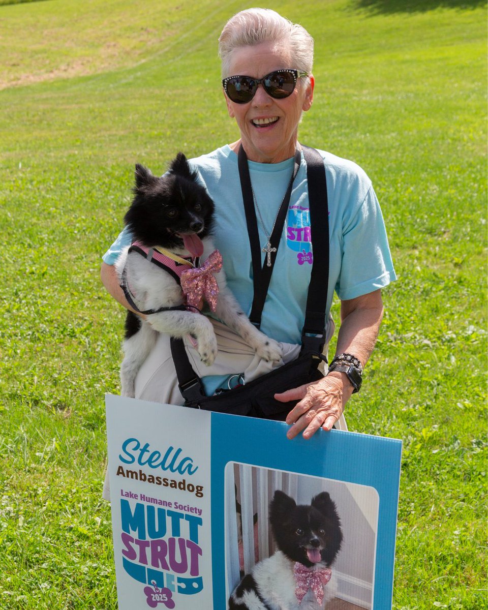 Lake Humane Society tweet media