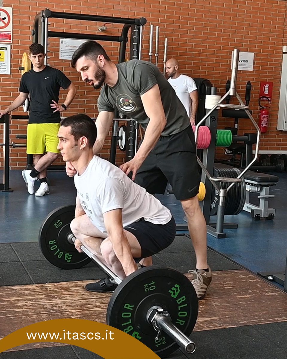 itascs_official's tweet image. La teoria incontra la pratica nei Master #ITASCS.

La prossima edizione del Master in Professional Strenght &amp;amp; Conditioning è in arrivo. Tu ci sarai? #bepartofit