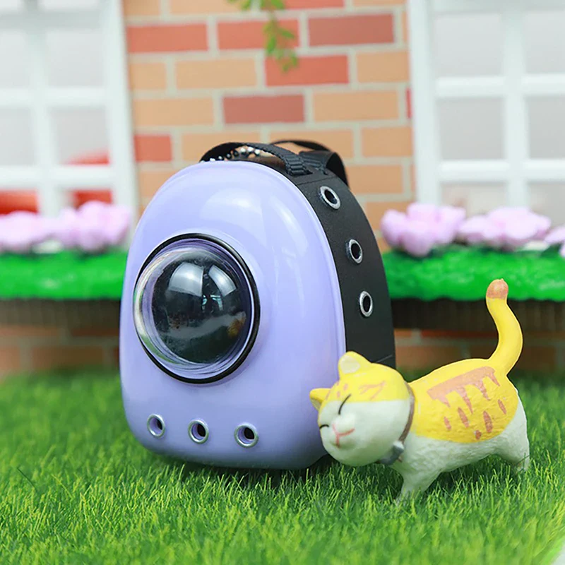BrandyChor15159's tweet photo. Shop now:https://t.co/SYIyylyrRK
Doll House Decoration Accessories Mini Cat Model Pet Space Bag Doll House Accessories
#bags #decoration #HouseParty #Cat #cats #petss https://t.co/z4klJtdvRZ