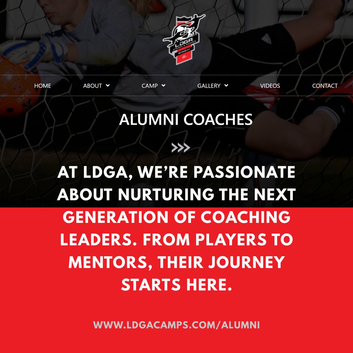 LDGA Goalkeeping tweet media