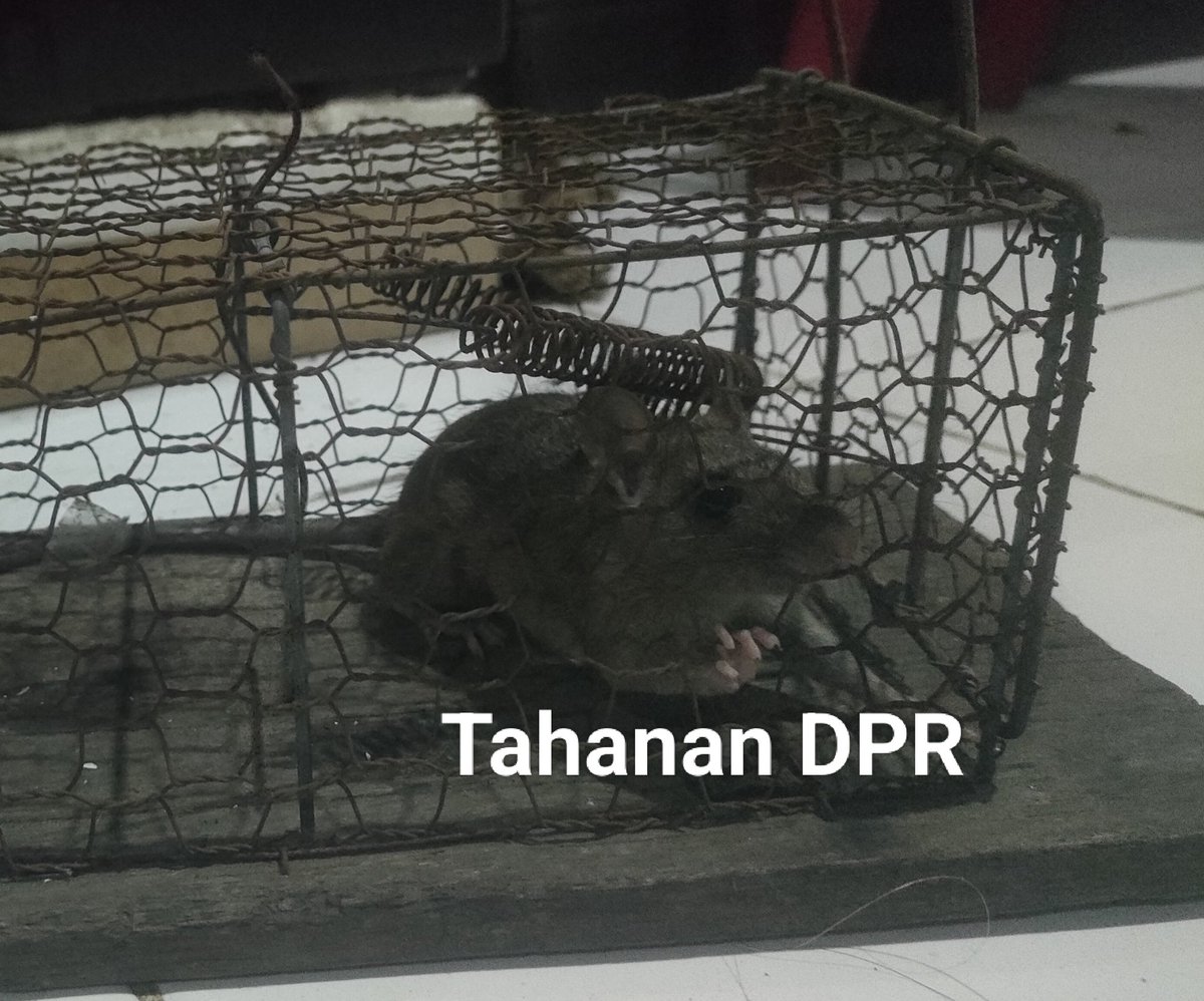 WdhHoror17's tweet photo. @txtdrimedia Kehormatan kalian (DPR) sudah kami beli jangan harapkan hormat kami, semurah itu kah kehormatan kalian hahahaha cuhhhhh 💦 (Ludah Online) https://t.co/dPpbvkcWn2