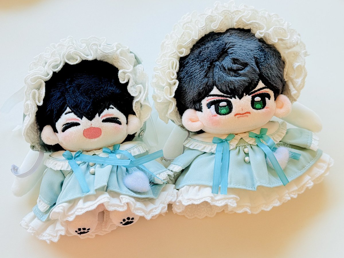 하밍이가 두명이야 🖤🖤

#띵솜찰칵
#하미과
#아기냥이