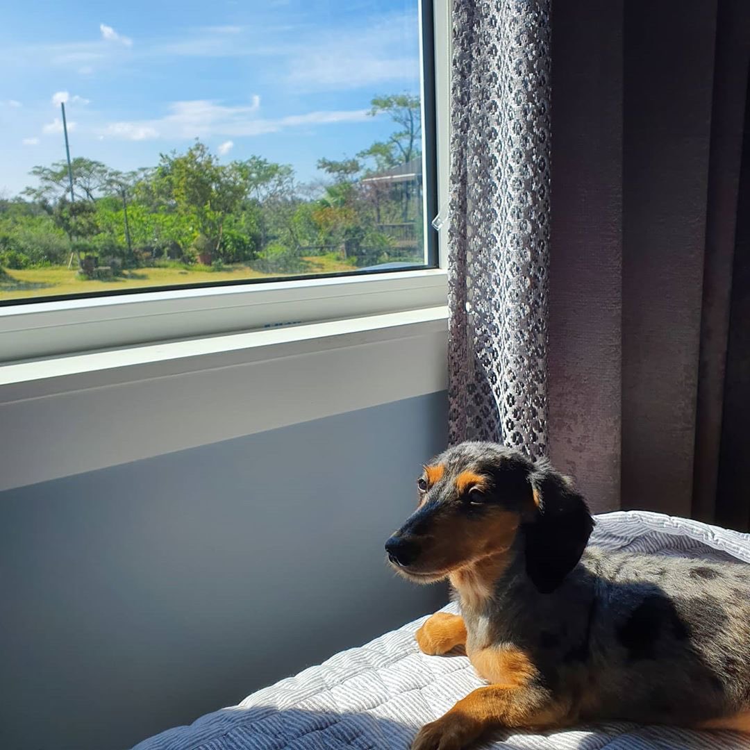 루야 사랑해 오빠 만나서 같이 편히 쉬렴