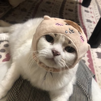 linton3y's tweet photo. #新しいプロフィール画像 https://t.co/fRB3mcTt1u