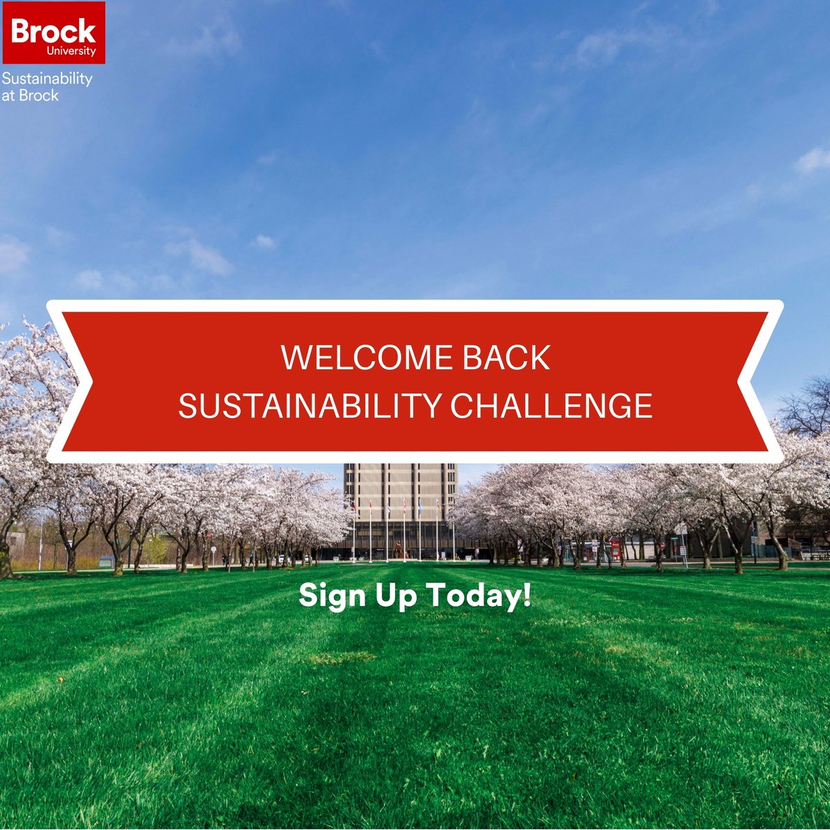Sustainability at Brock tweet media