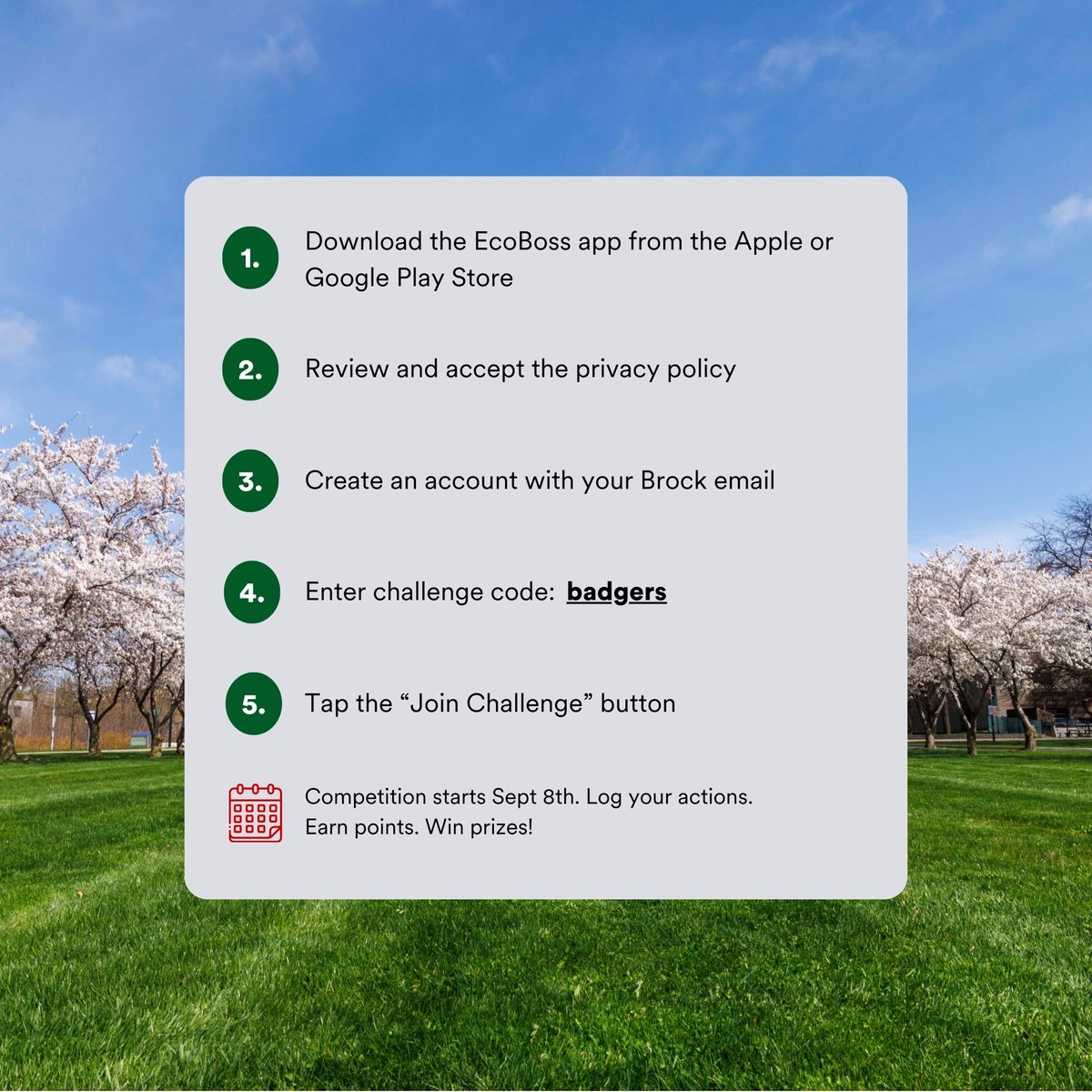 Sustainability at Brock tweet media