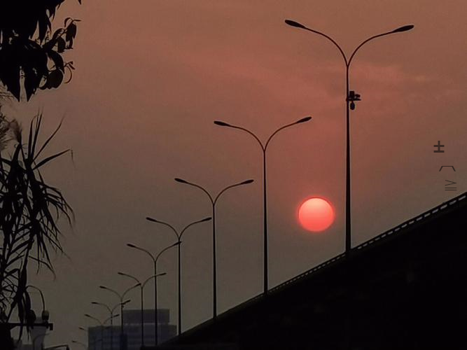 Evelyn William tweet media