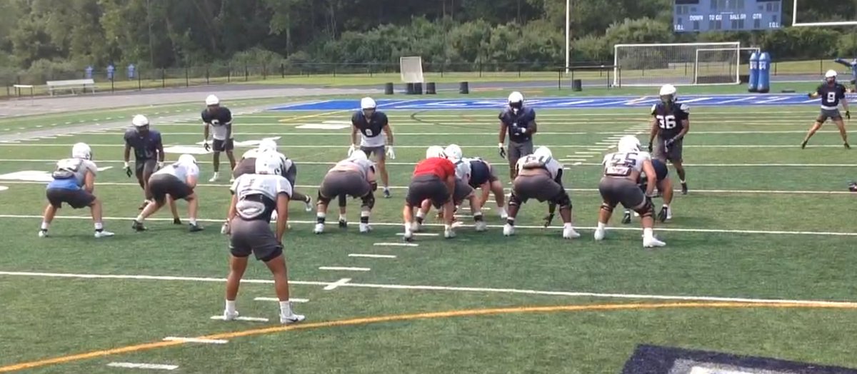 Great to be back at it on Jess Dow this morning. #WeAreSC