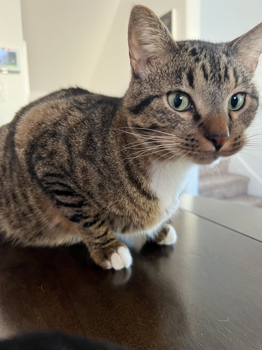 Genuinely why does he look like this? Is he gay?