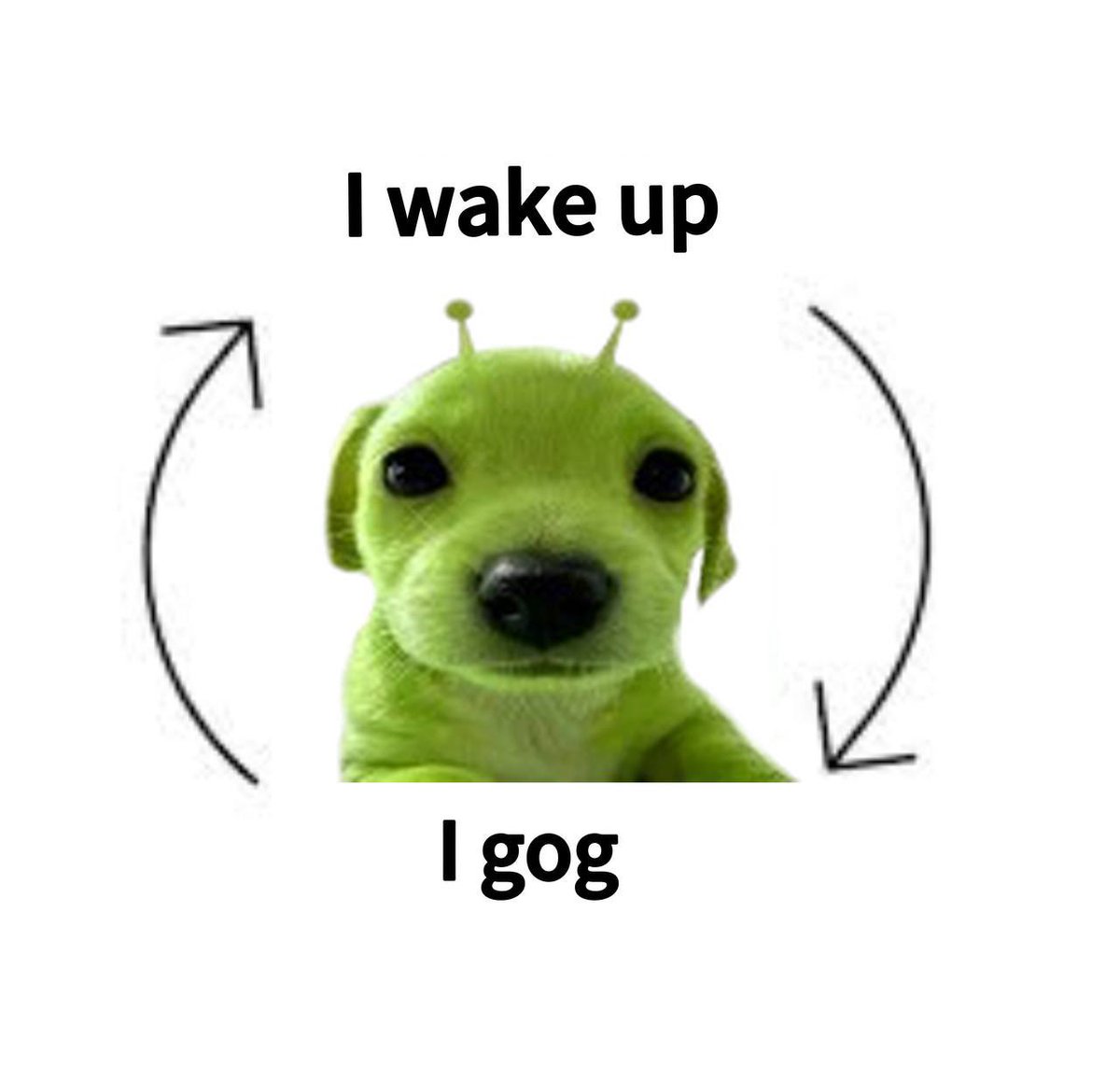 Gog
