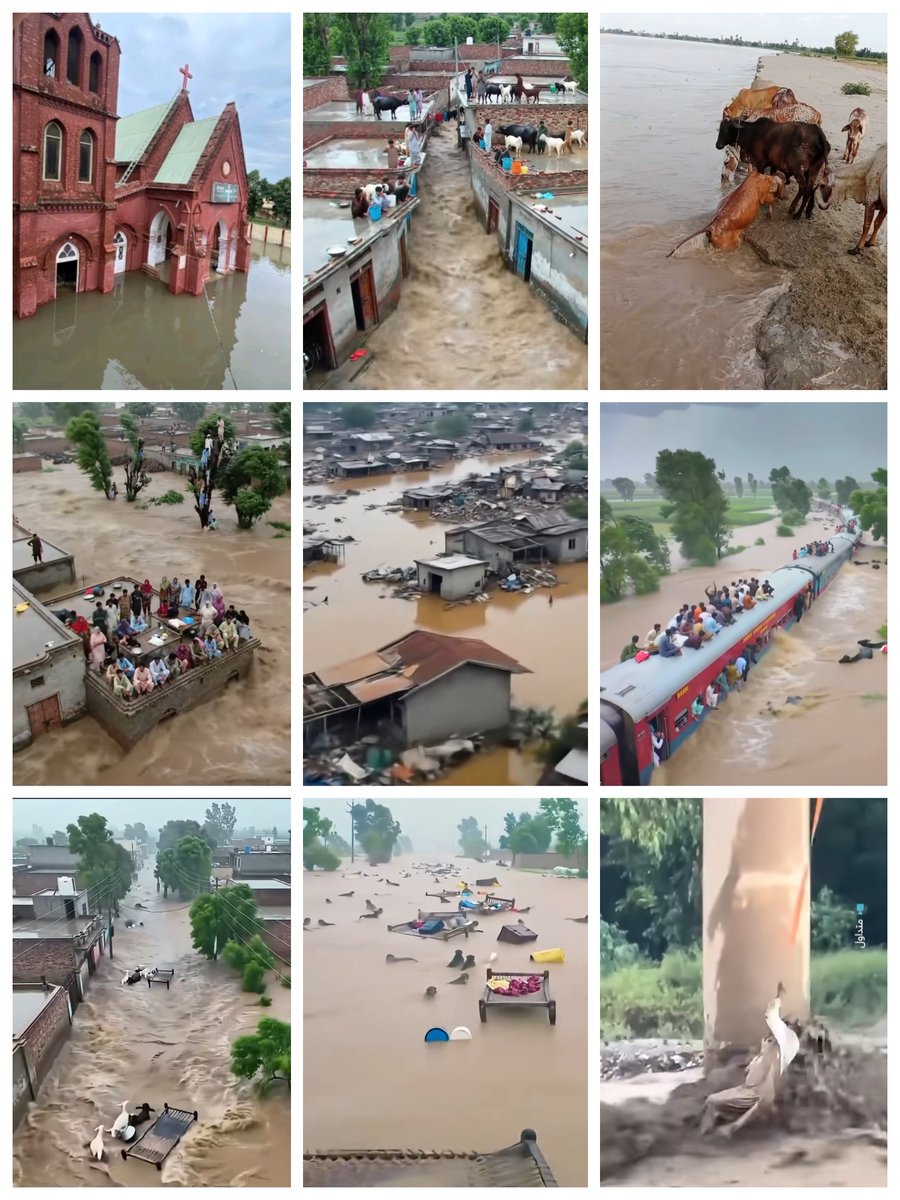 NancyLucenay's tweet image. From a Pakistani friend: "Thousands of families have lost their homes, crops and belongings, and many people are struggling without food, clean water and shelter."
Pray for God's mercy and protection on the affected people. #PrayForMercy #PakistanFloods
