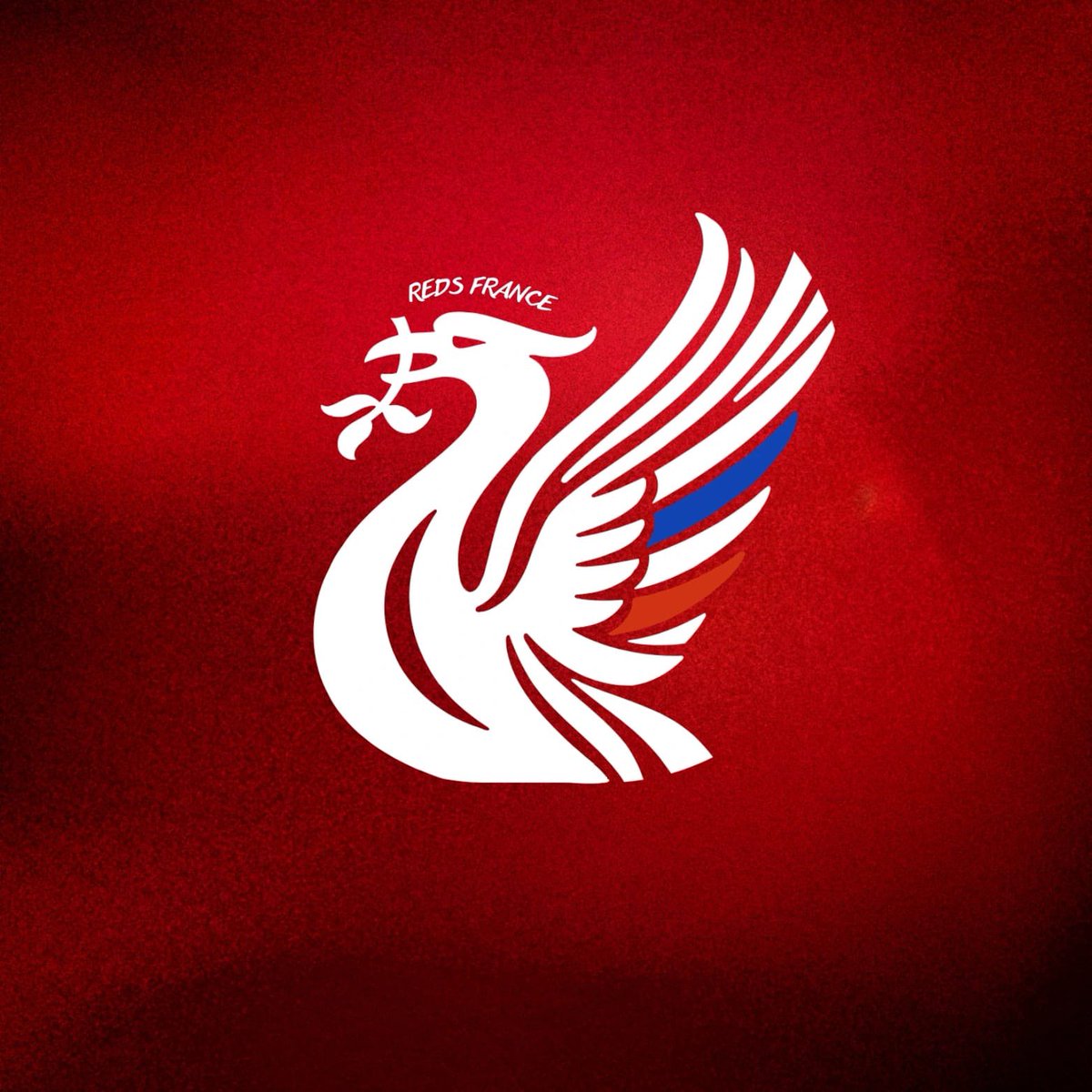 Liverpool 🇫🇷 tweet media