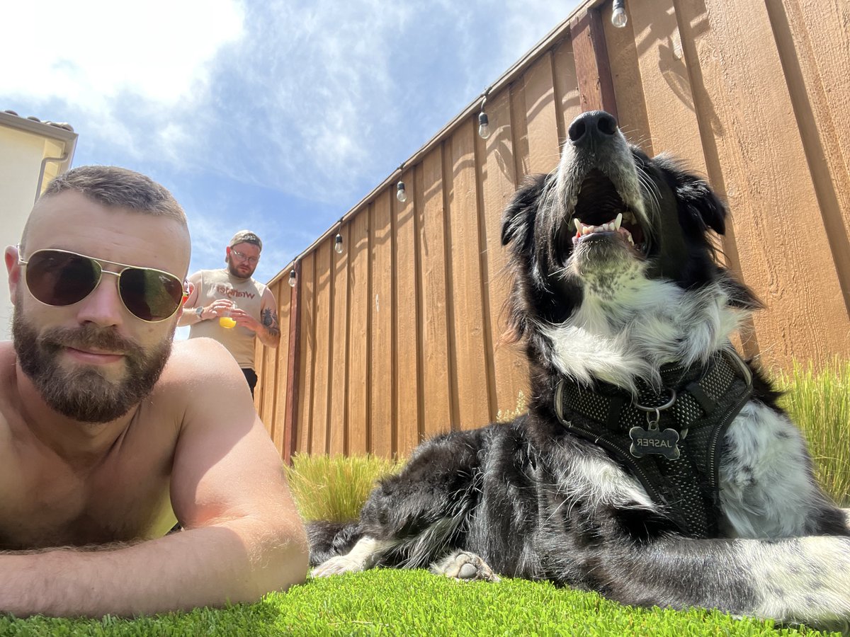 Dog days