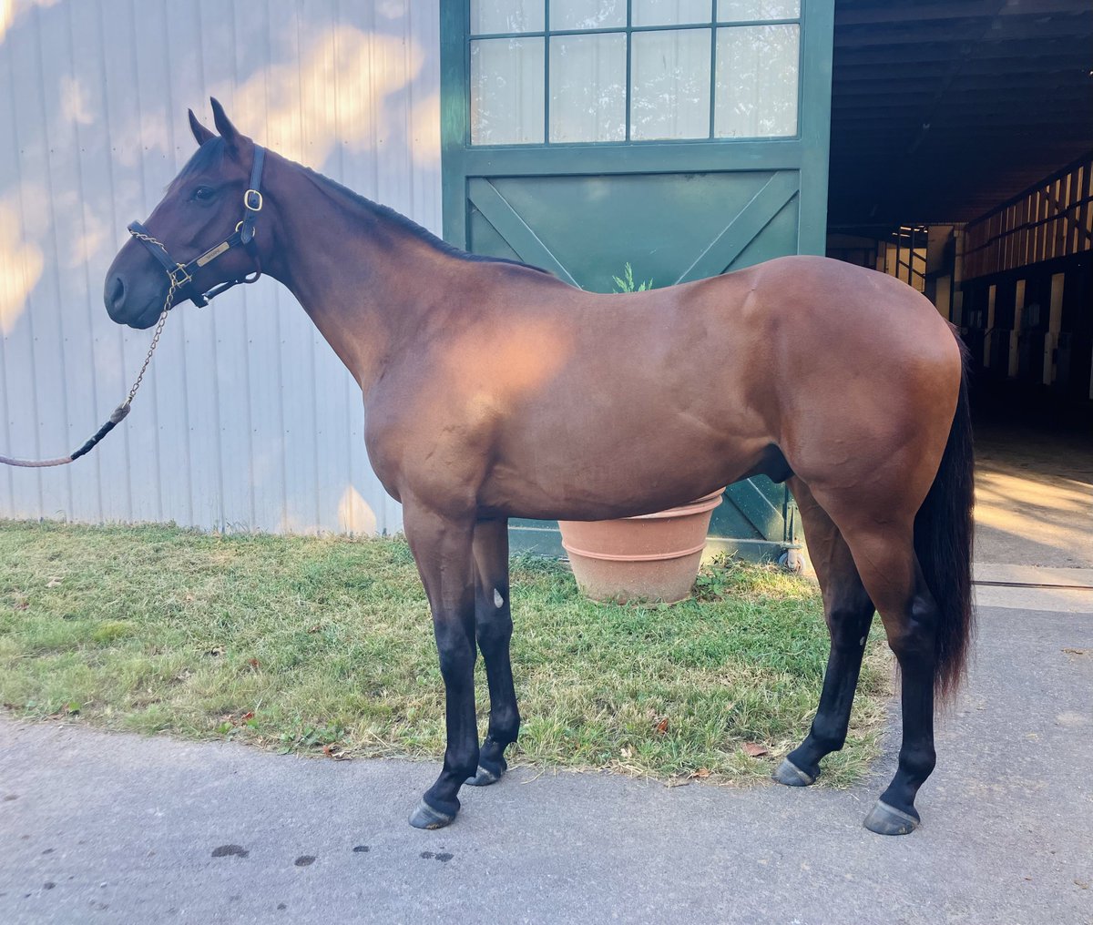 Silver Springs Training (@silverspringsky) on Twitter photo Looking great & sending off to <a href="/Foley_Racing/">Foley Racing</a> <a href="/THF_11/">Travis Foley</a> 👏🏼 Go get em! #NewKidsontheblock #BigLeagues #Churchill Looking great & sending off to <a href="/Foley_Racing/">Foley Racing</a> <a href="/THF_11/">Travis Foley</a> 👏🏼 Go get em! #NewKidsontheblock #BigLeagues #Churchill
